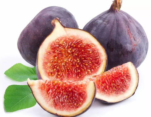 中秋養(yǎng)生佳肴 楊志敏教授推薦果品燉雞，溫潤團(tuán)圓好滋味