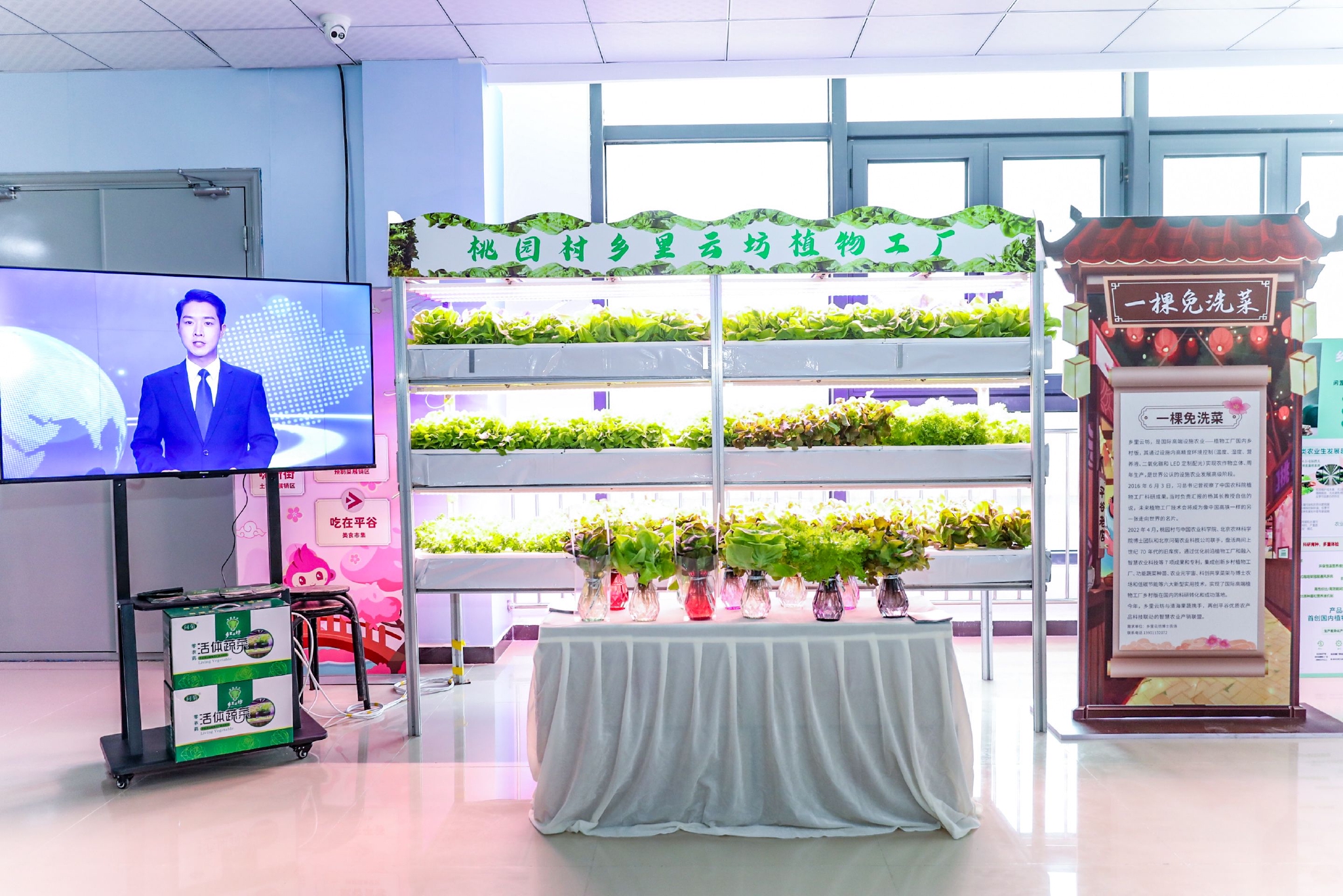頭茬鮮桃擺進桃花海！平谷土特產(chǎn)與蔬菜零售攜手亮相